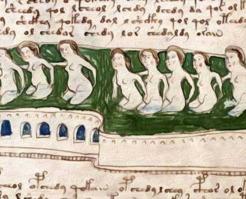 Il misterioso manoscritto di Voynich è stato decifrato o no?