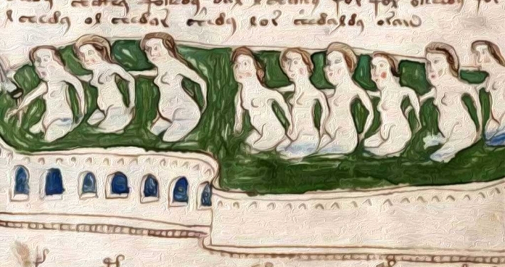 Il misterioso manoscritto di Voynich è stato decifrato o no?