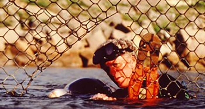 Behind the Dolphin Smile. From Flipper To The Birth Of The Anti-Captivity Movement - Galactus Translations