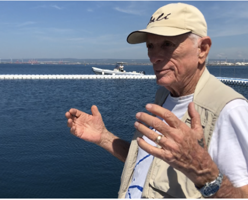 Traduttori in aiuto dei delfini